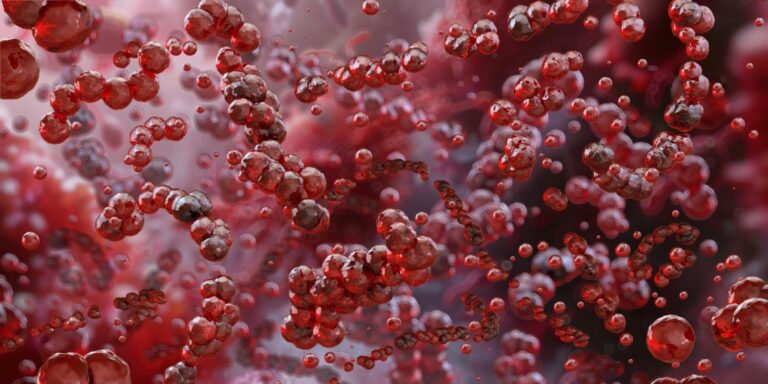 group b streptococcus bacteria