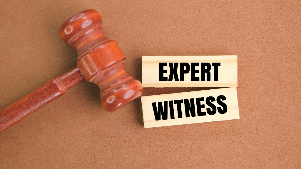 judge's gavel and stick with the words Expert Witness